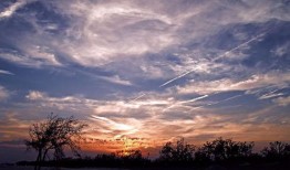 娱乐吃瓜酱晚霞,吃瓜酱带你领略娱乐圈晚霞时刻